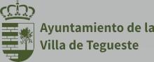 Logotipo de Junta de Gobierno Local del Ayuntamiento de La Villa de Tegueste